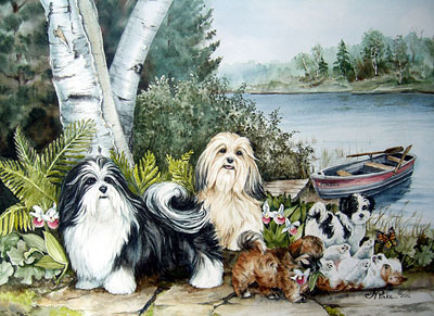 HAVANESE BREED : Original watercolor of Havanese ( 2012 )